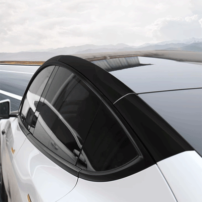 TAPTES® Black Roof Edge Protective Film for Tesla Model 3/Y 2018-2023 2024