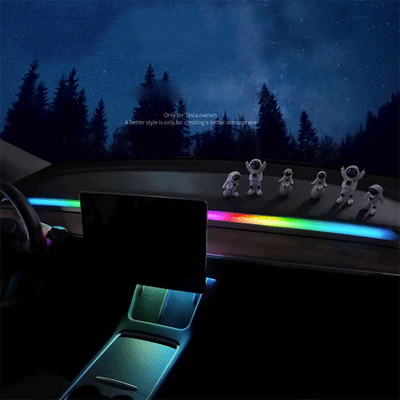 TAPTES® Center Console & Dashboard Streamer Ambient Light for Model Y Model 3 2017-2025