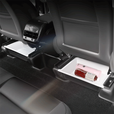 TAPTES® Double-Layer Under-Seat Storage Box for Tesla Model Y Model X