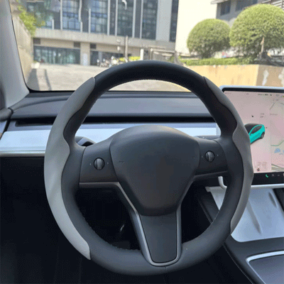 TAPTES® Steering Wheel Cover for Tesla Model 3 Model Y 2021-2023 2024